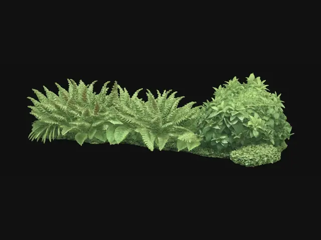3D model for Fern and Boxwood Hedge
