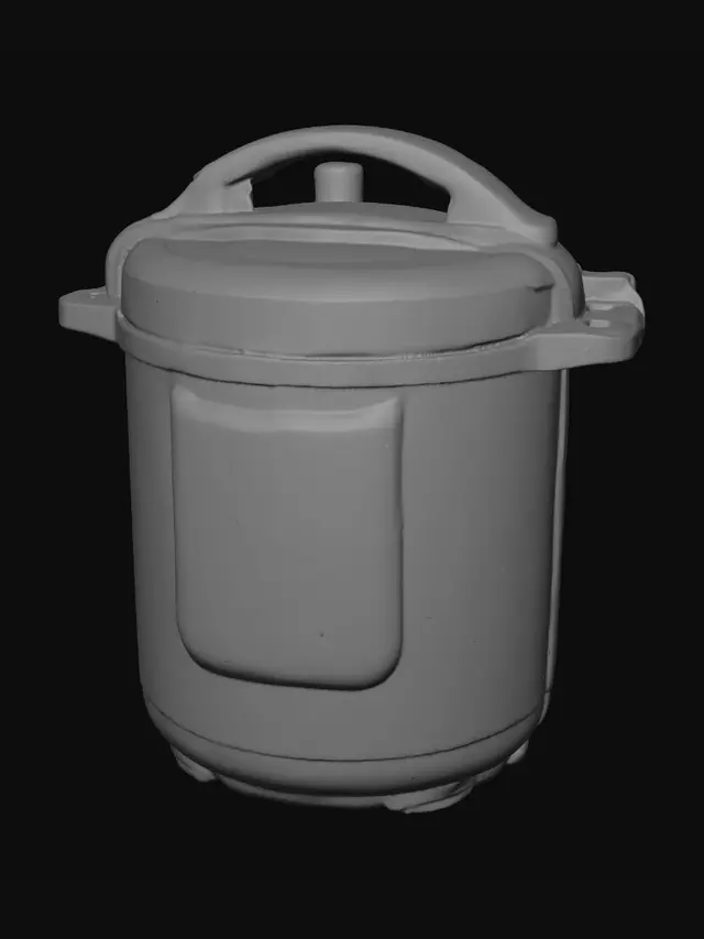 3D model for Raleon Electric Pressure Cooker