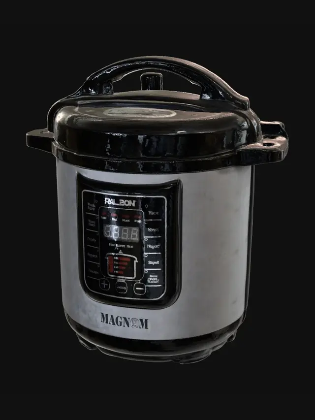 3D model for Raleon Electric Pressure Cooker