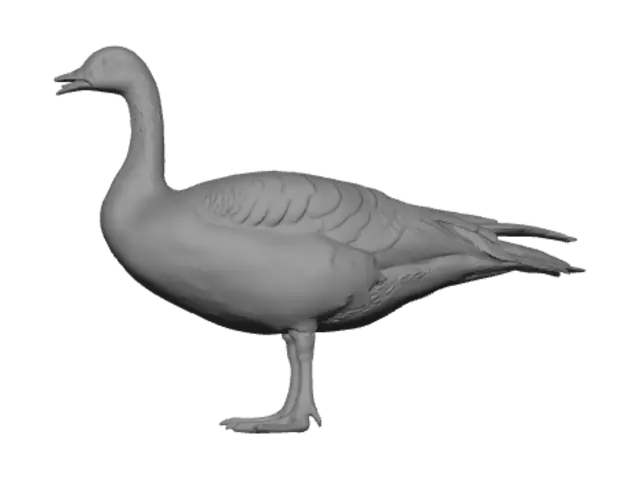 3D model for Canada Goose
