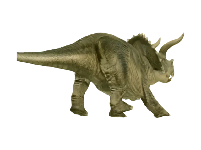 3D model for Triceratops