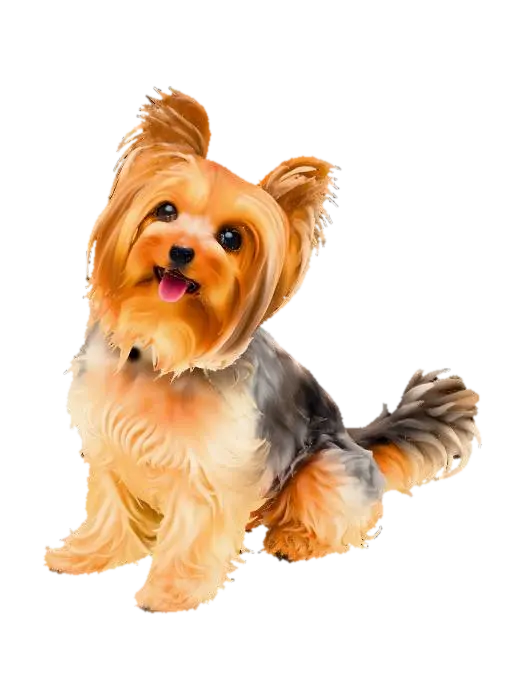 Yorkshire Terrier, Sitting 3D model, vytvořený pomocí AI