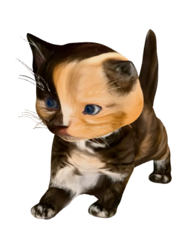 3D model for Patchwork Kitten