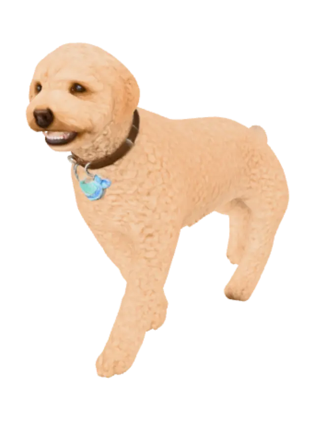 3D model for Curly Cream Companion