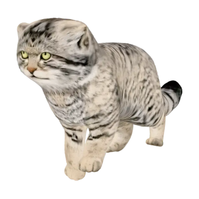 3D model for Emerald-Eyed Tabby