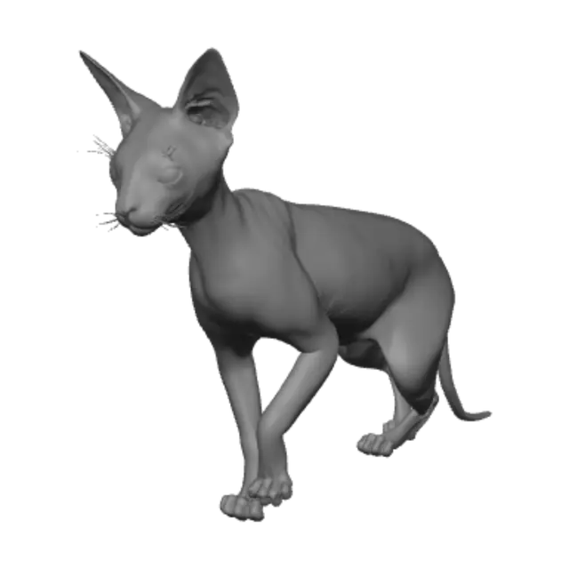 3D model for Sphynx Silhouette