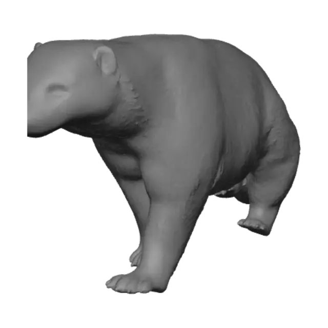 3D model for Wolverine