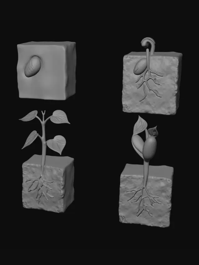 3D model for Rooted Bricks