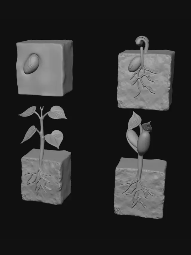 3D model for Rooted Bricks