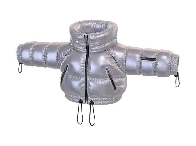 3D model for Iridescent Puffer Jacket