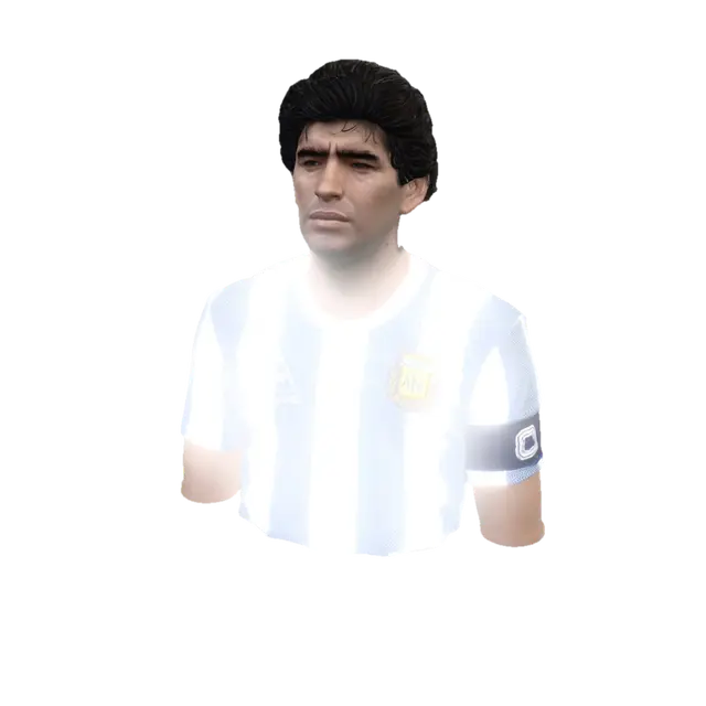 3D model for Argentina Captain Portrait