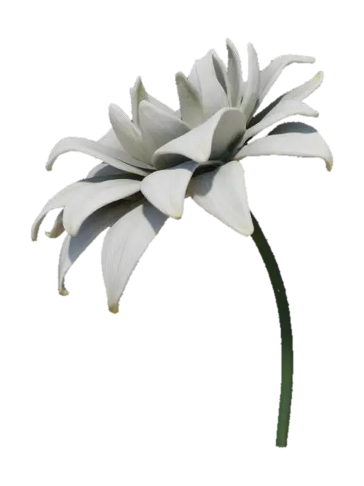 white flower - Bloom 3D model, vytvořený pomocí AI