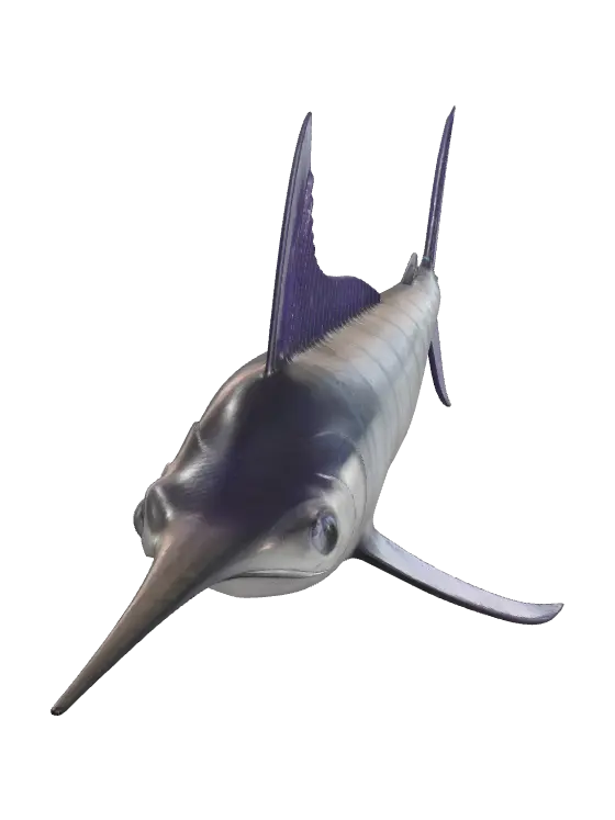 3D model for Weathered Swordfish
