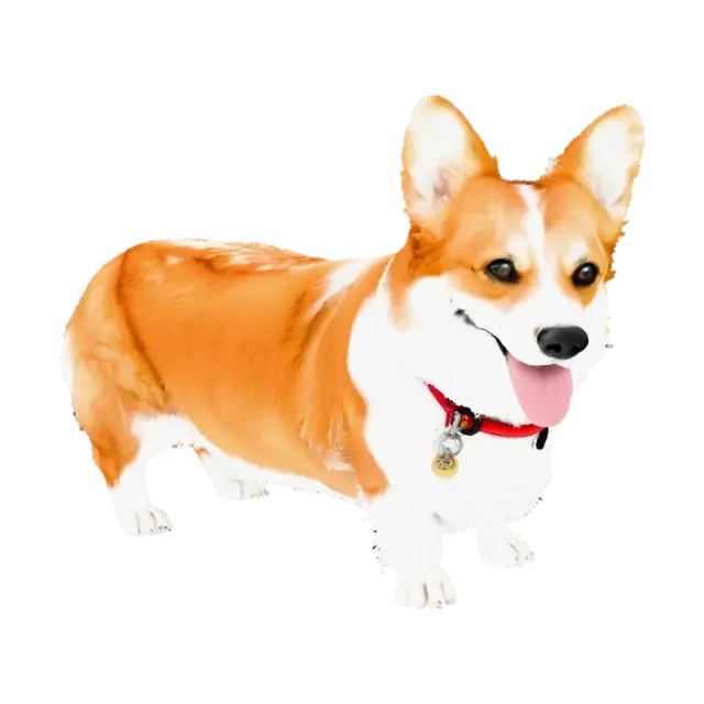Corgi Delight - Happy 3D model, vytvořený pomocí AI