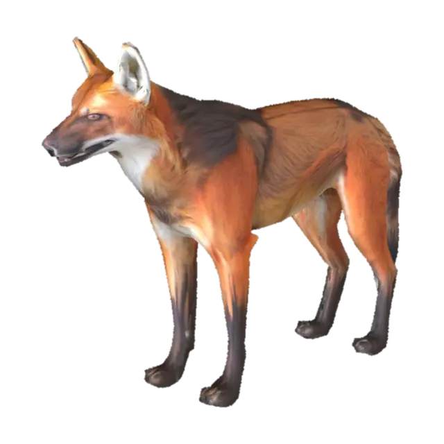 Maned_Wolf_in_Profile_0714141750_generate - Manedwolf 3D model, vytvořený pomocí AI