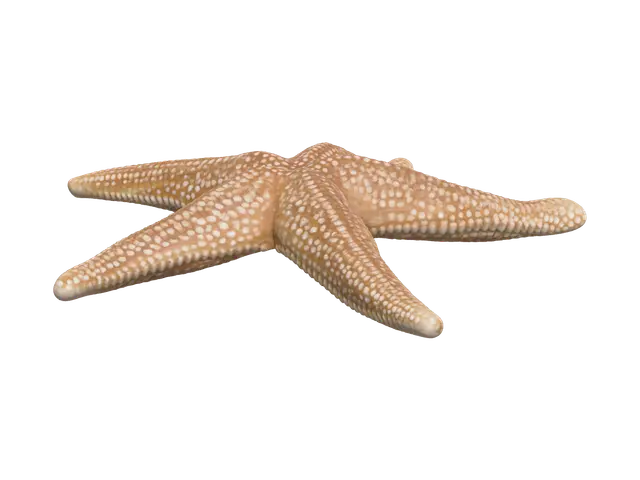 Low-Poly Seastar - Starfish 3D model, vytvořený pomocí AI