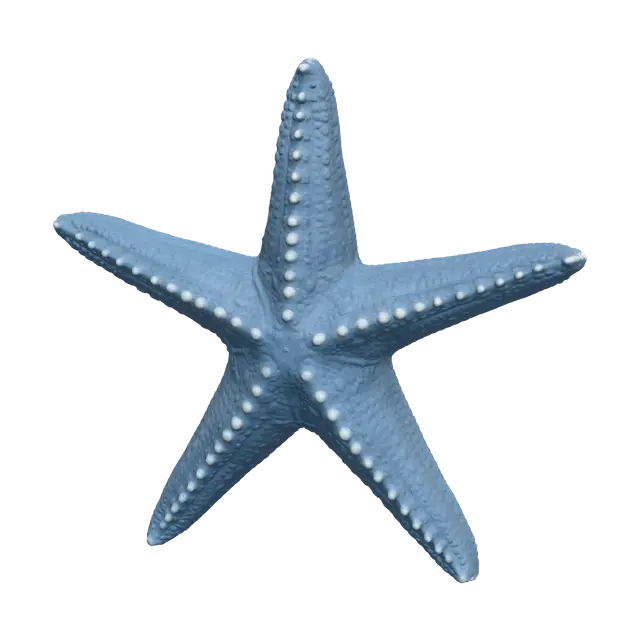 3D model for Realistic Seastar