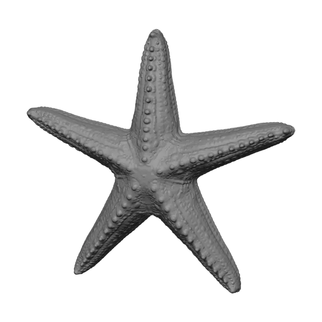 3D model for Realistic Seastar