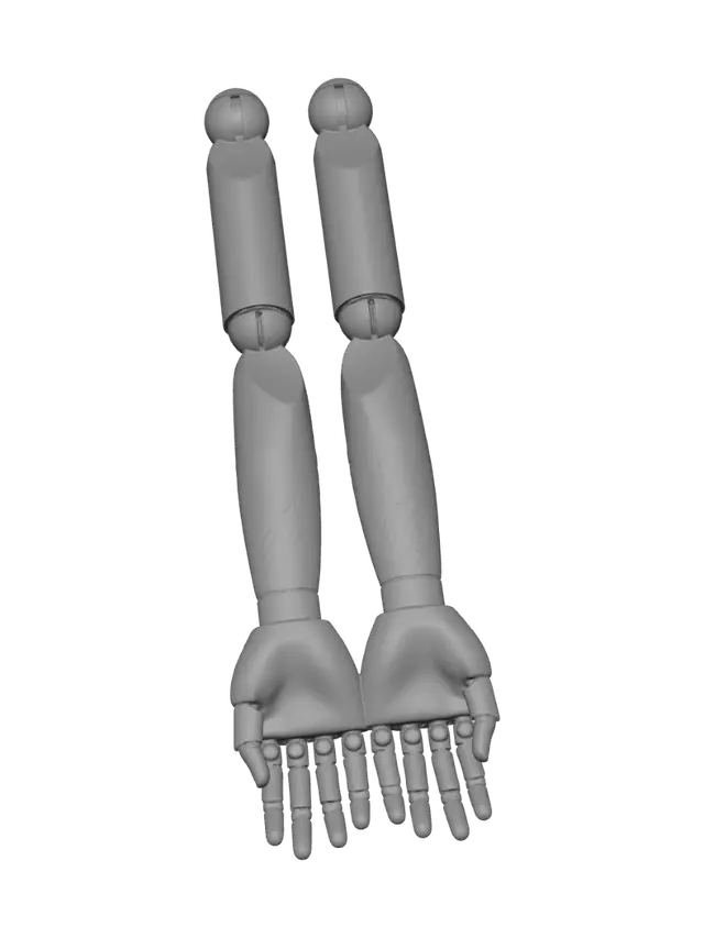 3D model for Measuring Hands