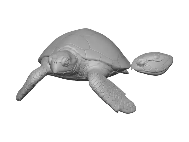 3D model for species-accurate adult hawksbill sea turtle. Cute naturalistic collectible style, neutral level swimming pose, head forward, flippers extended slightly down and away from shell, narrow hawk-like beak, overlapping amber-and-brown scutes, serrated rear shell edge. Full animal visible and centered on plain white background with soft even studio light. no base, ocean, coral, bubbles, props, text, labels, collage, border, extra flippers, open mouth, or cropped anatomy. Design clean continuous masses suitable for later printable 3D modelling; keep flippers thick and close enough for a durable composition.