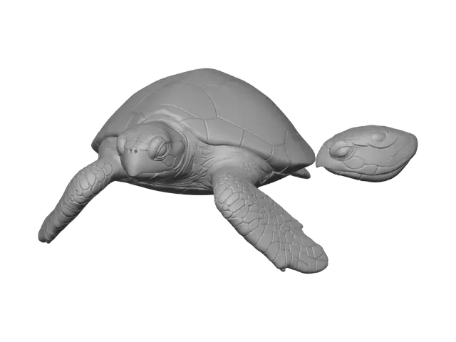 3D model for species-accurate adult hawksbill sea turtle. Cute naturalistic collectible style, neutral level swimming pose, head forward, flippers extended slightly down and away from shell, narrow hawk-like beak, overlapping amber-and-brown scutes, serrated rear shell edge. Full animal visible and centered on plain white background with soft even studio light. no base, ocean, coral, bubbles, props, text, labels, collage, border, extra flippers, open mouth, or cropped anatomy. Design clean continuous masses suitable for later printable 3D modelling; keep flippers thick and close enough for a durable composition.