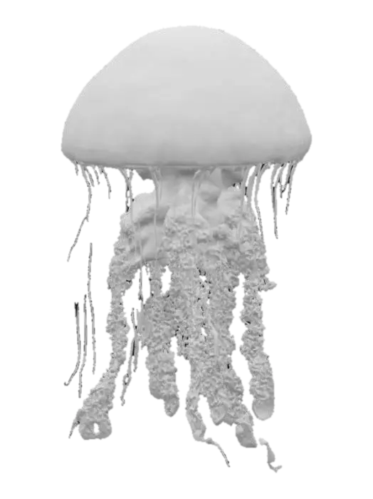3D model for create a firework jellyfish