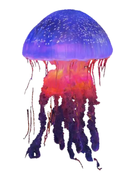 3D model for create a firework jellyfish
