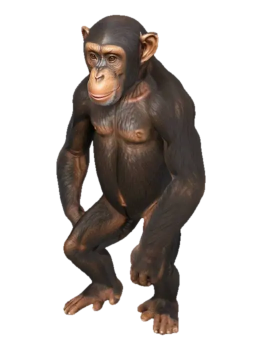 Chimp - Chimpanzee 3D model, vytvořený pomocí AI