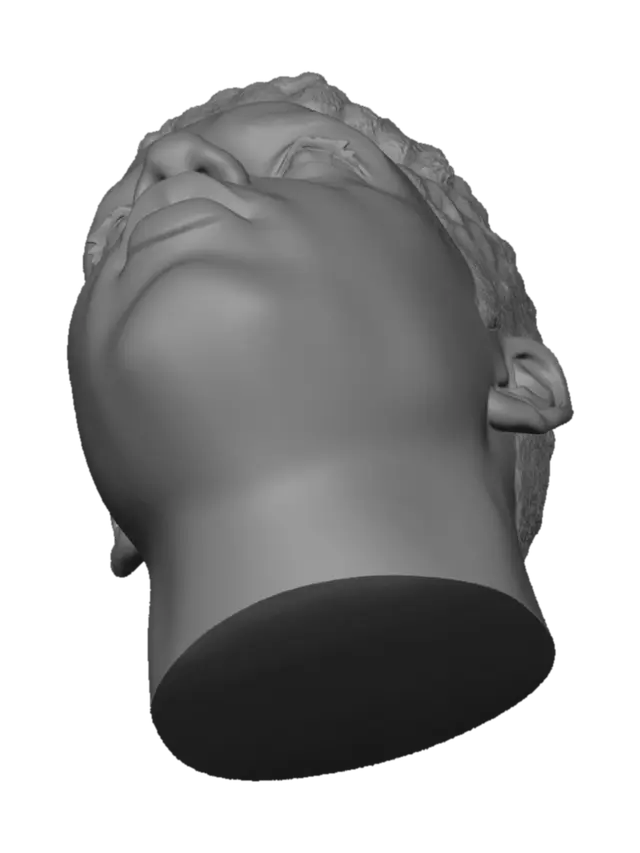 3D model for Contemplative Side Profile in the Bathroom