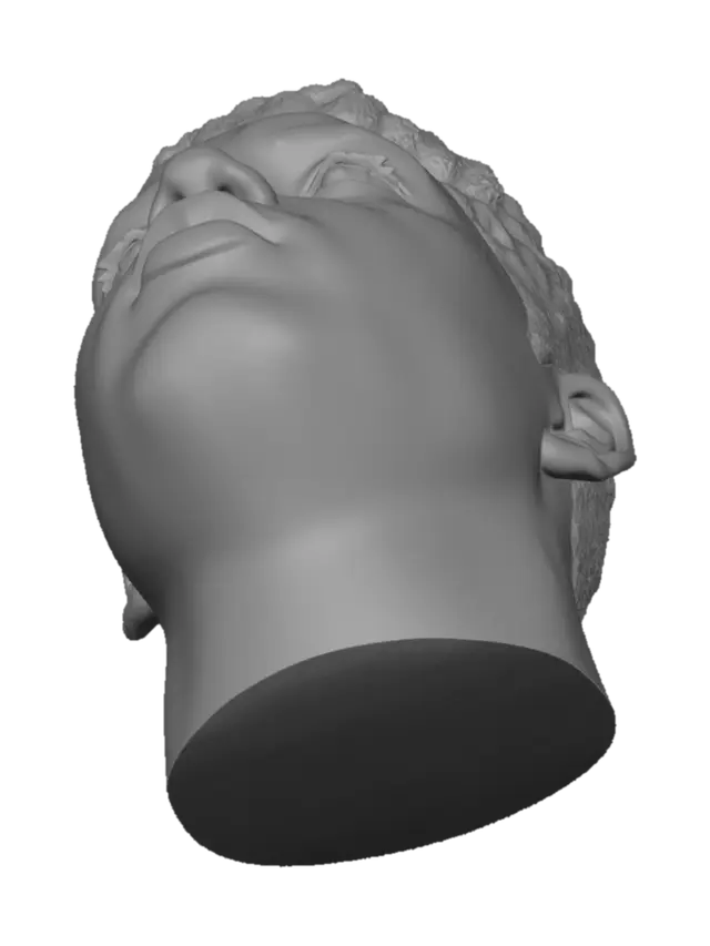 3D model for Contemplative Side Profile in the Bathroom