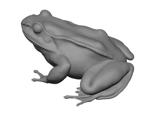 3D model for Brown Frog
