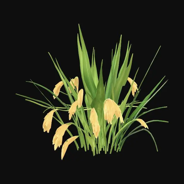3D model for Low poly rice paddy plant cluster, 6-8 thin green upright blade leaves growing from water, golden grain panicles drooping at the top of mature plants, wet paddy field plant, game-ready asset, stylized, no background