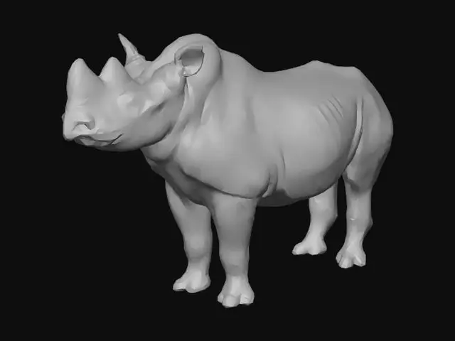 3D model for Neotropical Forest Rhino