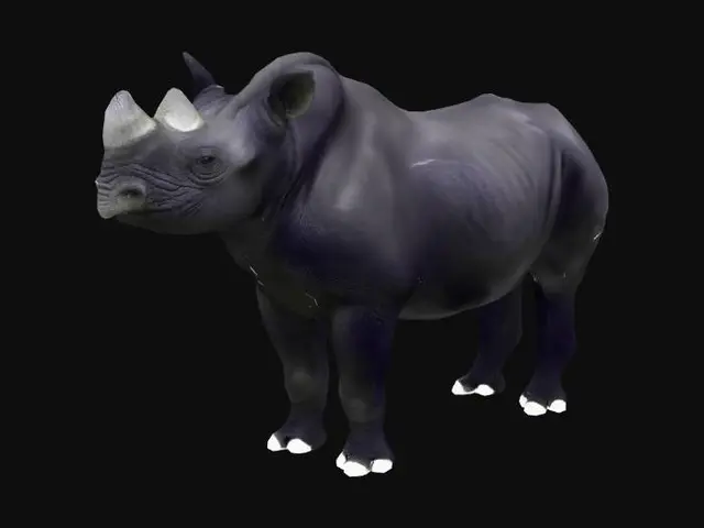 3D model for Neotropical Forest Rhino