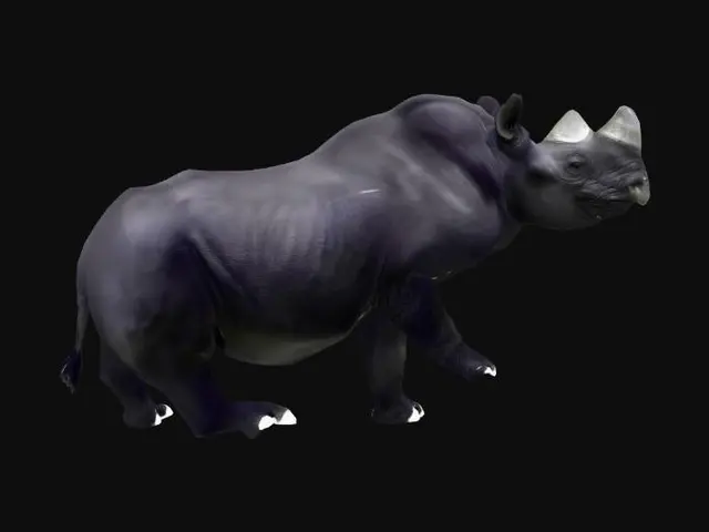 3D model for Neotropical Forest Rhino