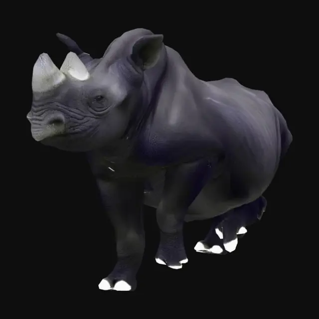 3D model for Neotropical Forest Rhino