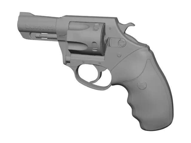 3D model for Charter Arms Bulldog 2,5"