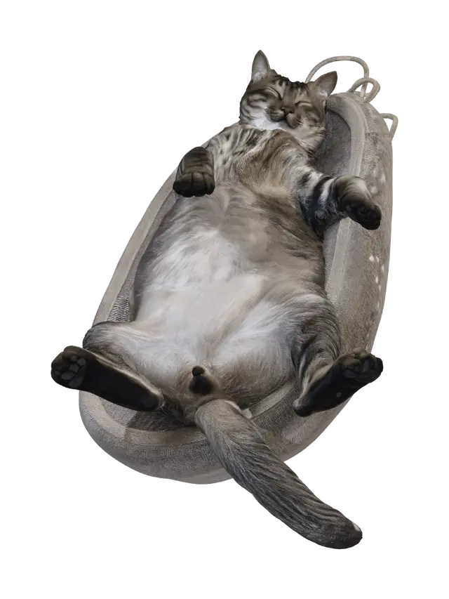 dog - Corgi 3D model, vytvořený pomocí AI
