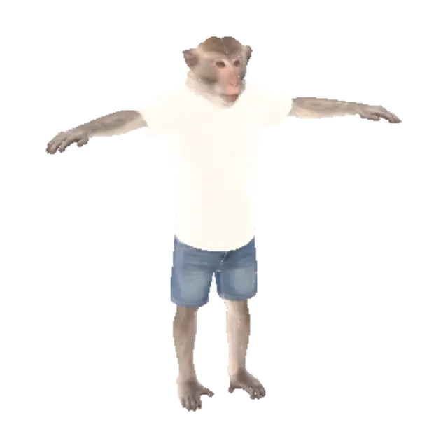 3D model for T-Pose Monkey