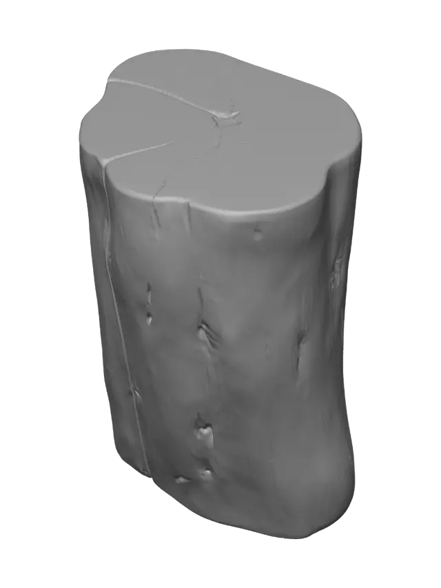 3D model for Stump Stool