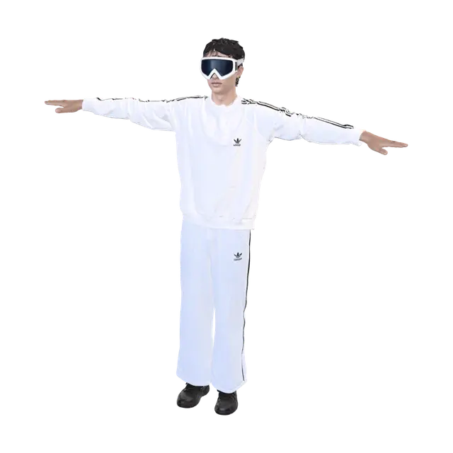 3D model for Backyard Aviator