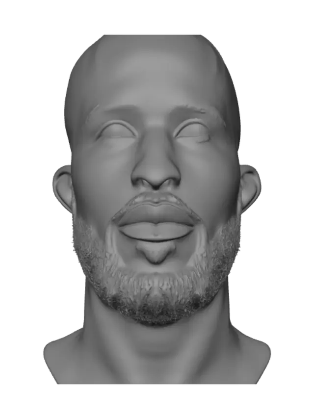 3D model for Portrait of a Bald Bearded Man