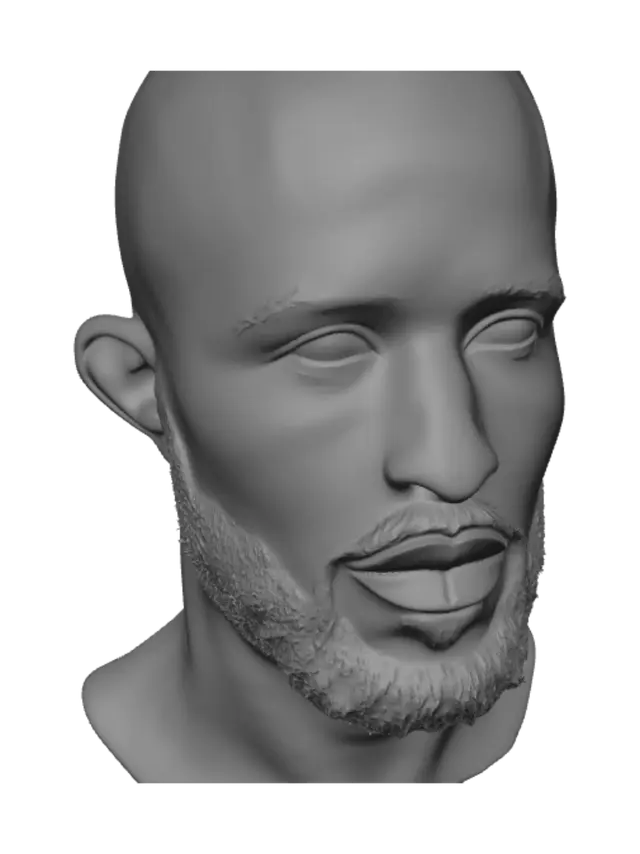 3D model for Portrait of a Bald Bearded Man