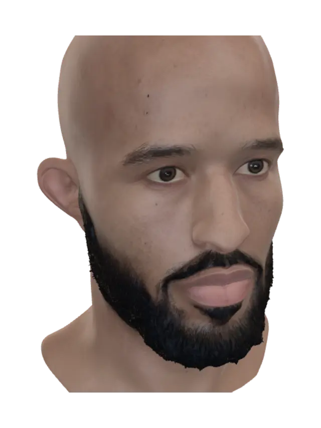 3D model for Portrait of a Bald Bearded Man