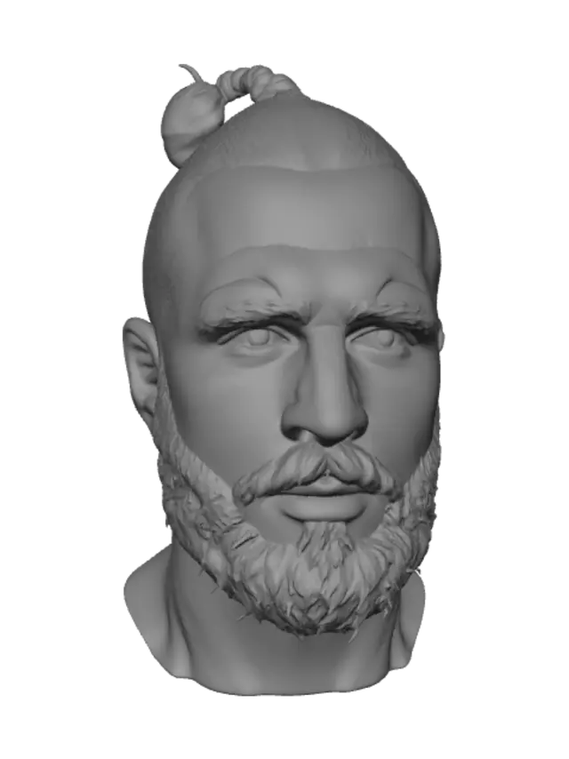 3D model for Bearded Topknot