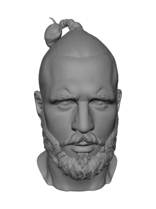 3D model for Bearded Topknot