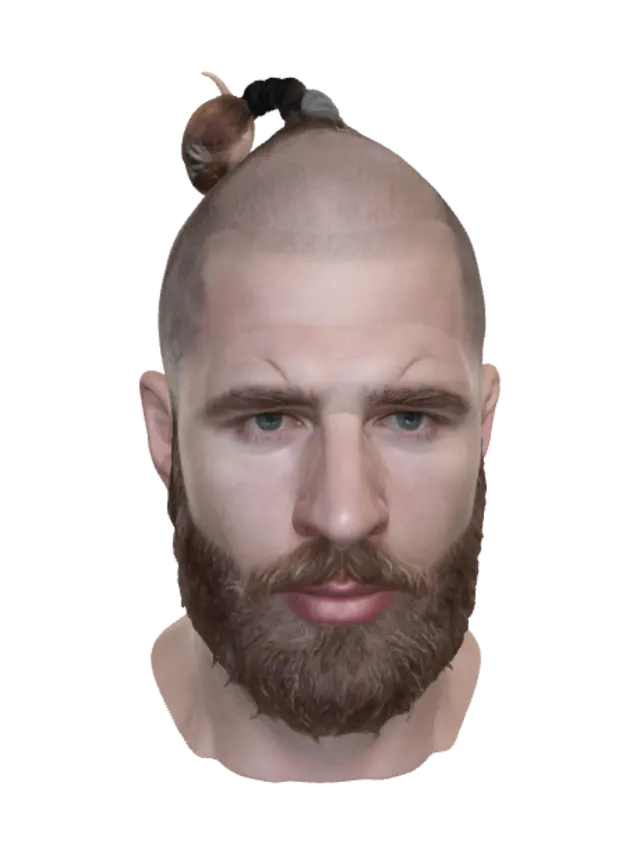 3D model for Bearded Topknot