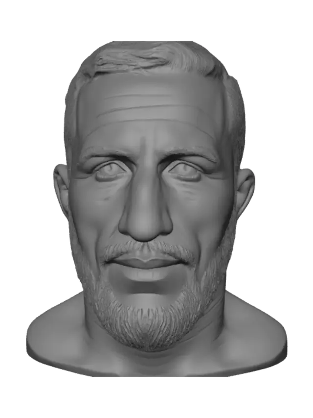 3D model for Portrait of a Bearded Man