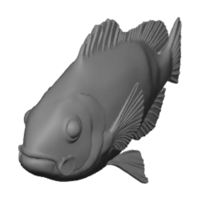 3D model for Kaleidoscope Rainbow Fish
