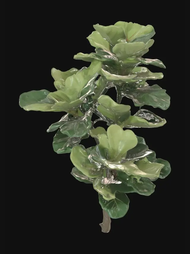 3D model for Rubber plant